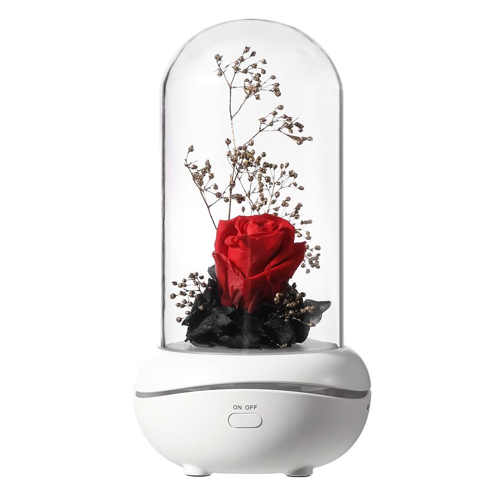 Eternal Rose Diffuser 