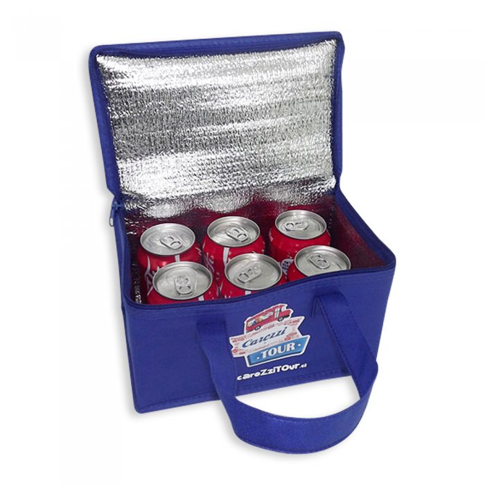 Non Woven Cooler Bag (Small)