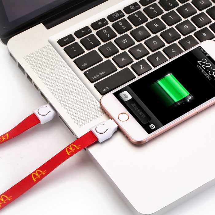 Lanyard Charging Cable (3 in 1 with Type C)