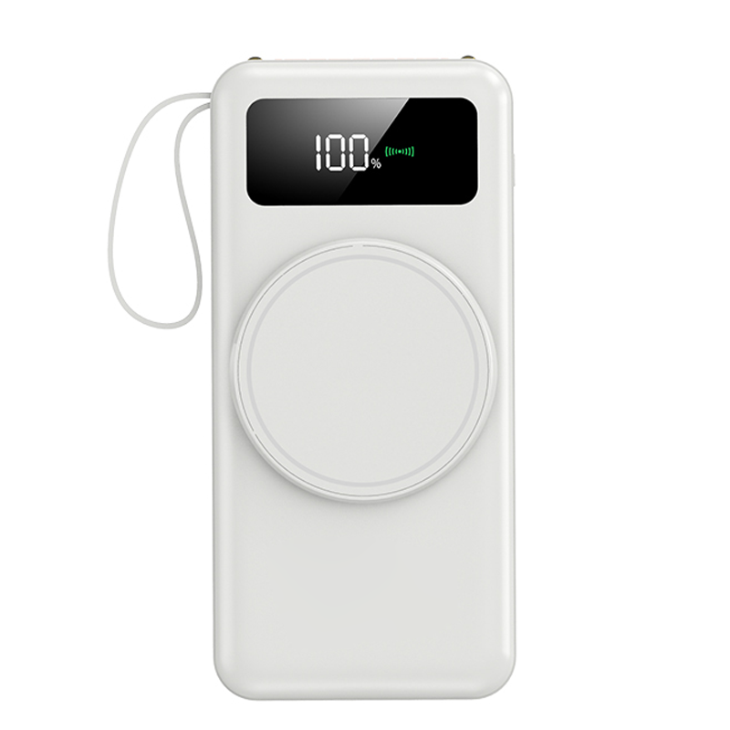 10,000mah Zavo Powerbank (with detachables cables)