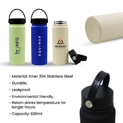 600ml YOUNG Double Wall Stainless Steel Flask with Handle