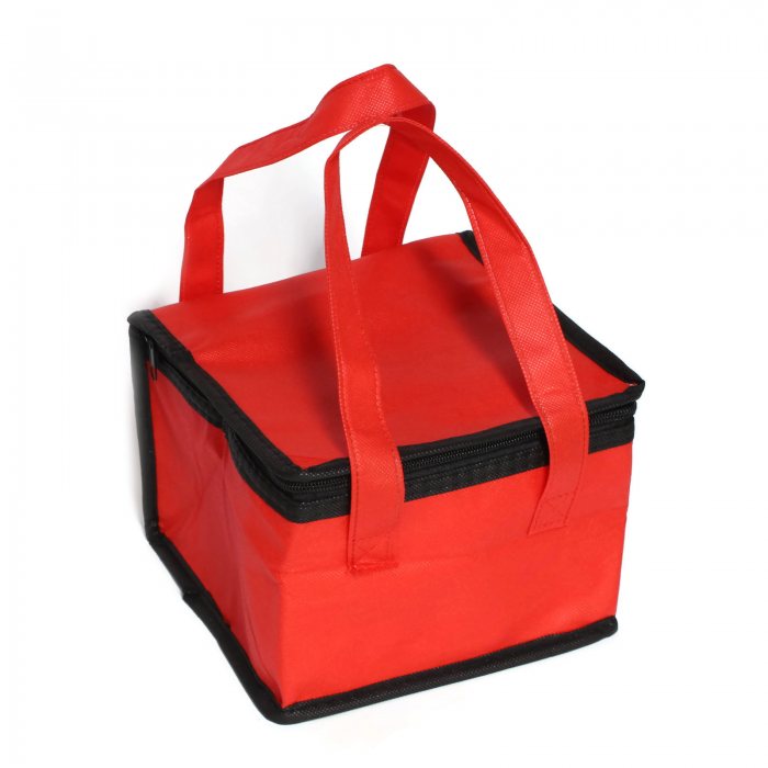 Non Woven Cooler Bag (Small)