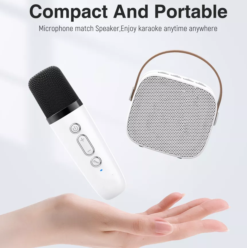 Portable Mic and Speaker