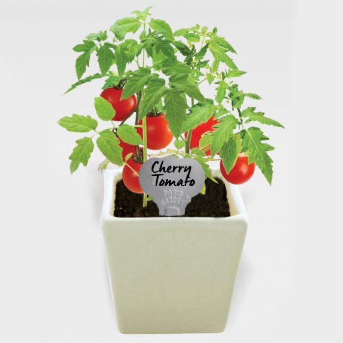 Paris Garden mini Ceramic Pot