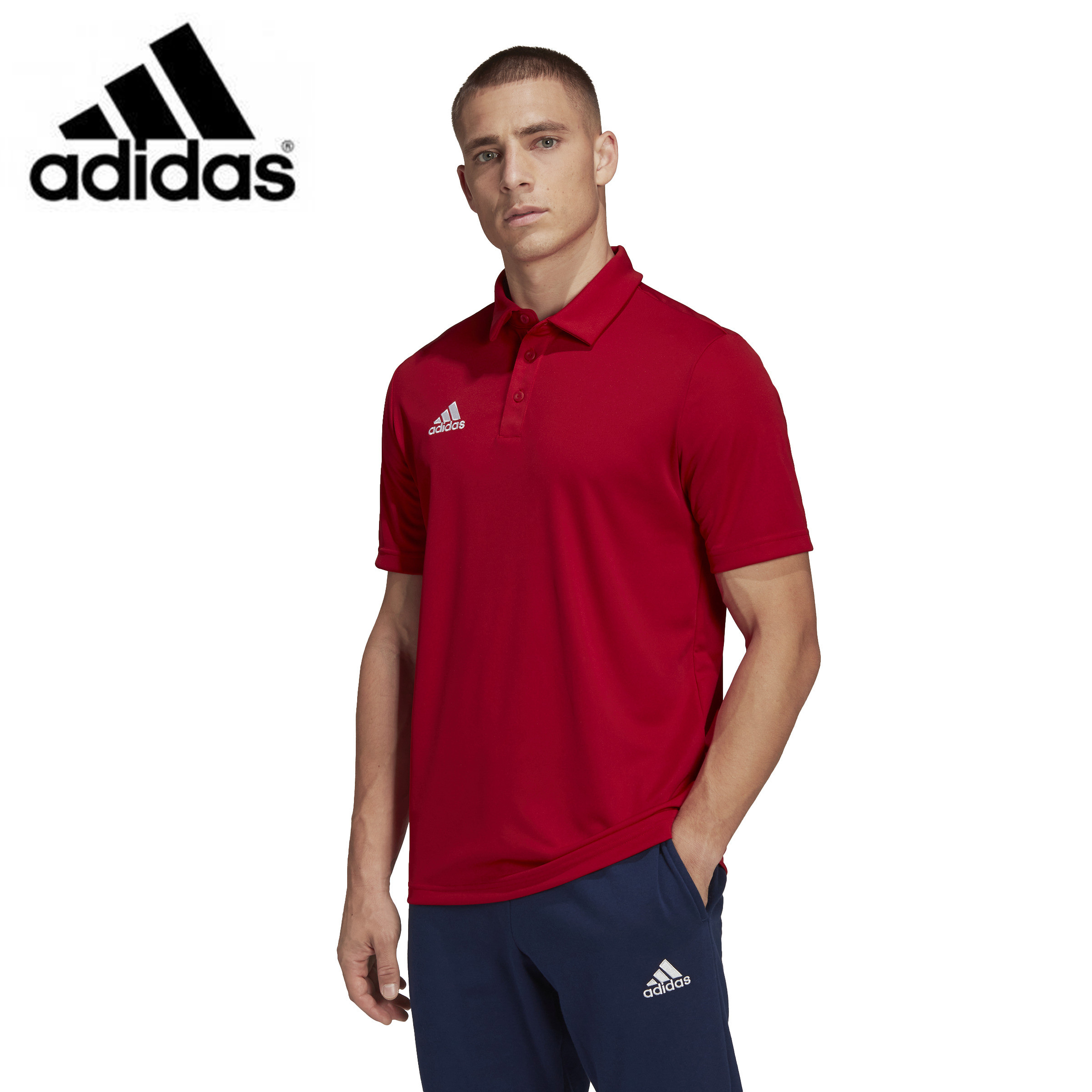 adidas Men's Entrada 22 Polo Shirt Shirts