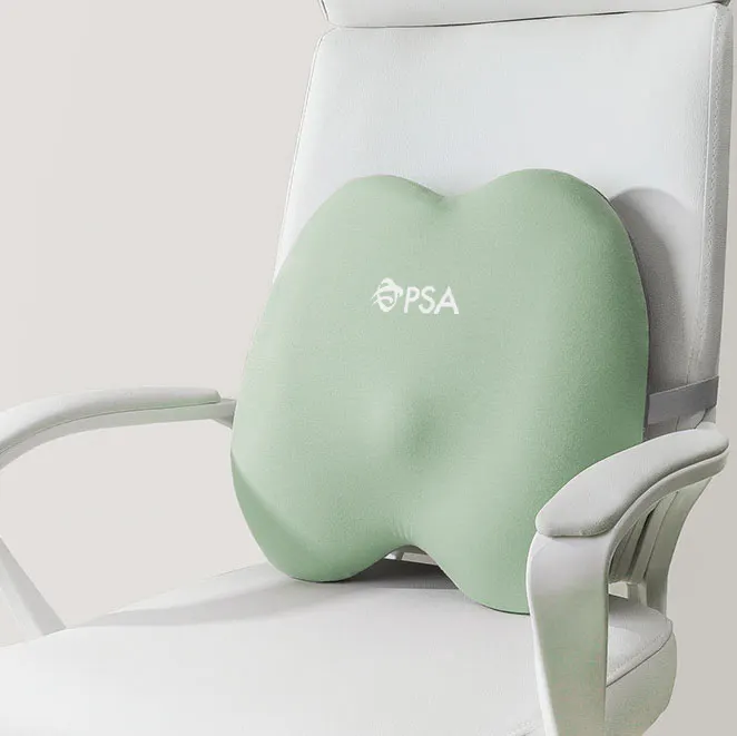 GlacierBack Memory Foam Cushion