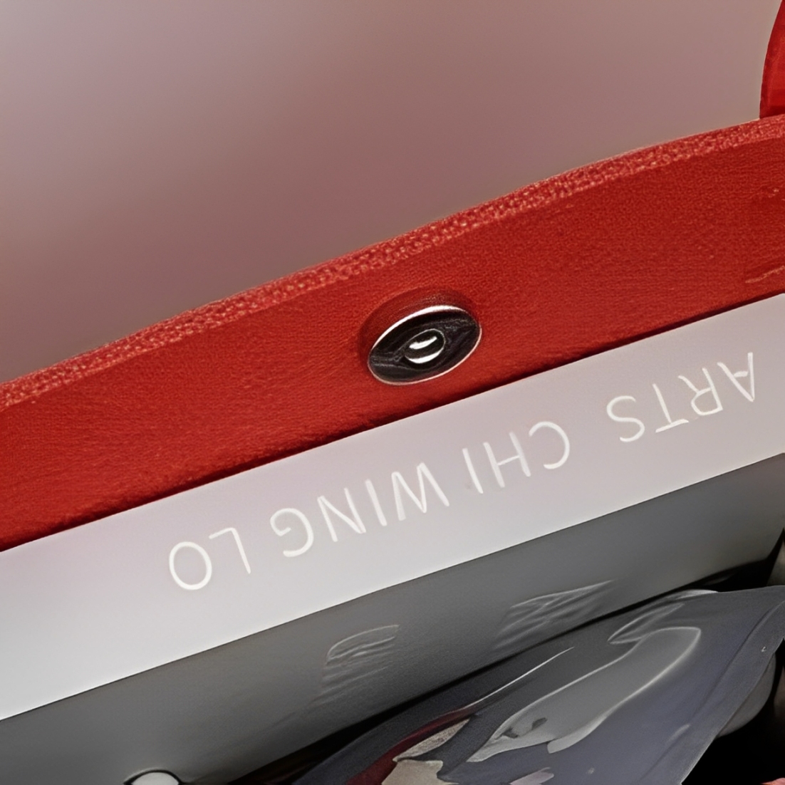 With Magnetic Clasp