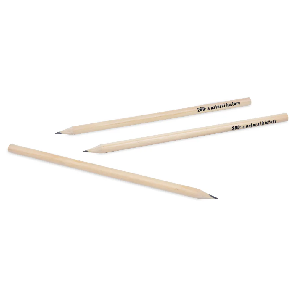 Rounded Wooden Pencil (HB Grade)