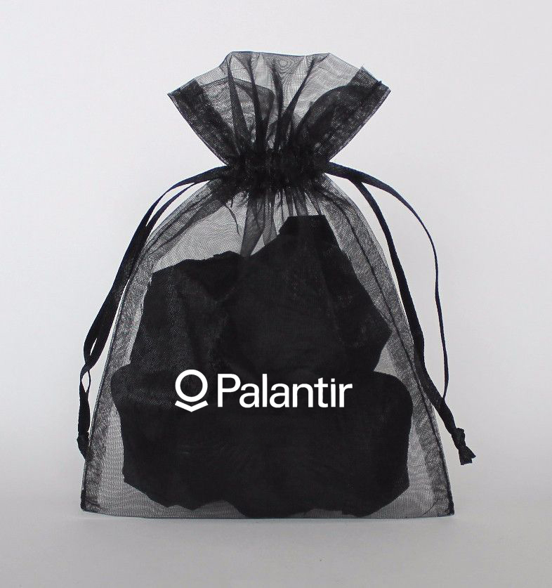 Luxe Organza Drawstring Pouch with Ribbon