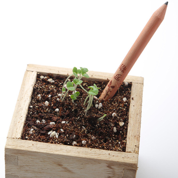 Wood Sprout Pencil