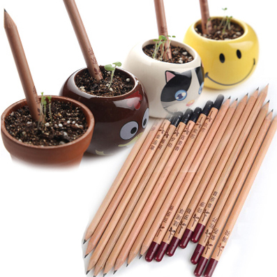 Wood Sprout Pencil