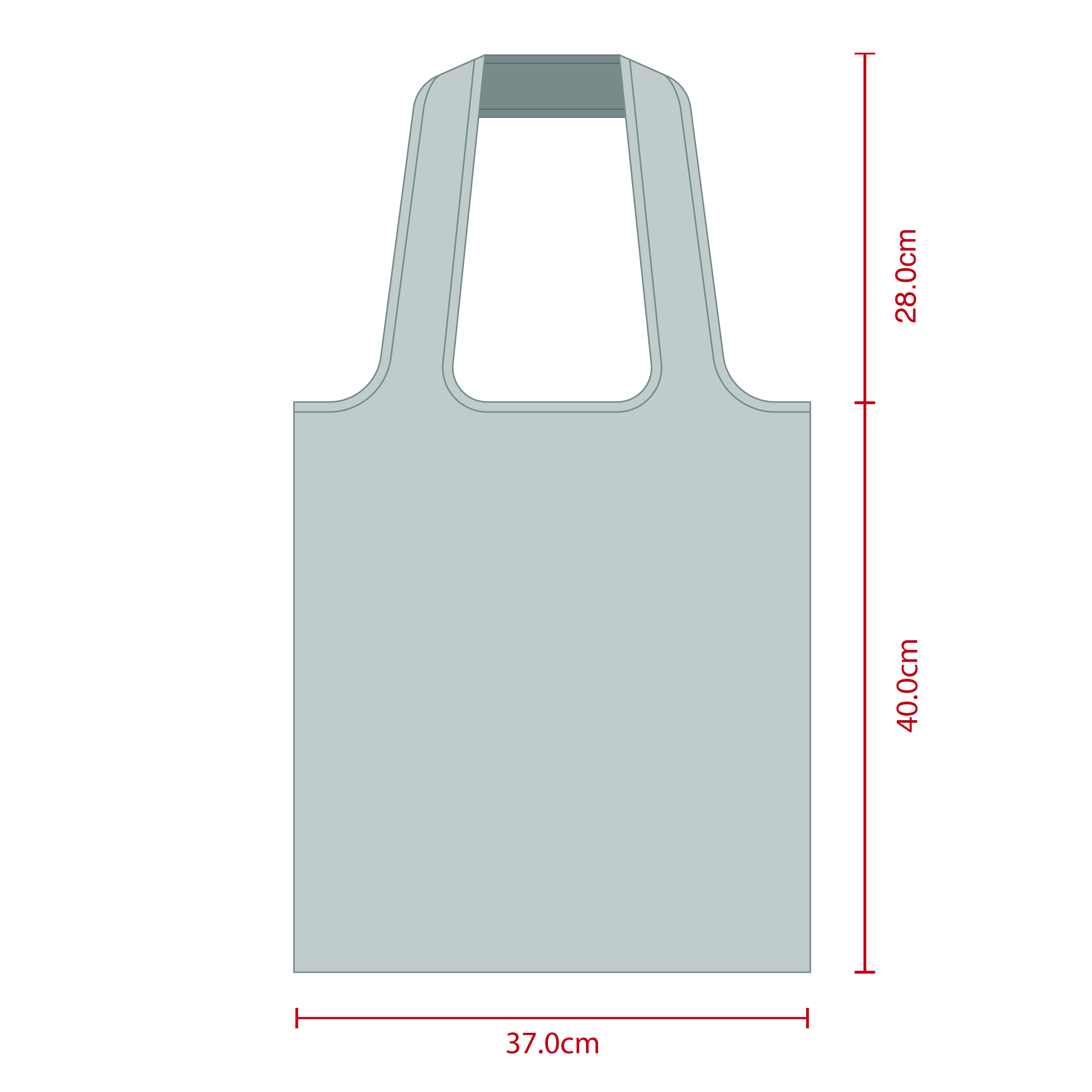 Shopping Bag
