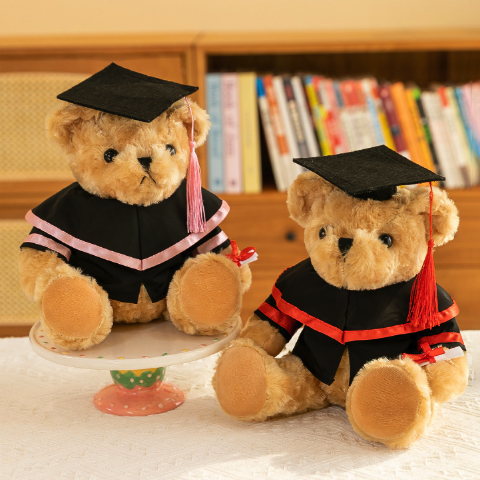 Nas Graduation Bear (25cm)