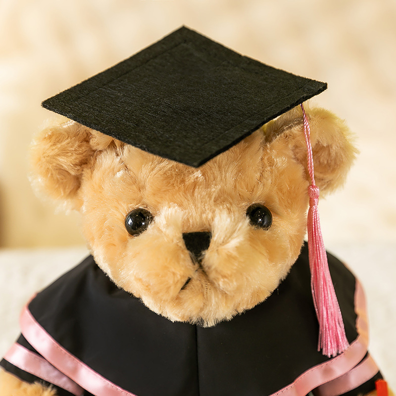 Nas Graduation Bear (25cm)
