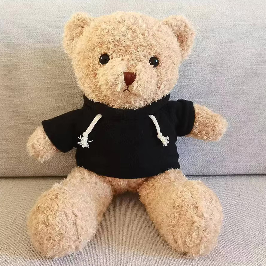 Hoddie Teddy Bear (30cm)