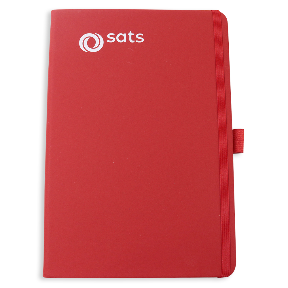 SATS Ltd. (10 November 2025)