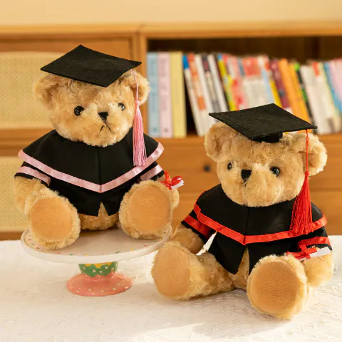 Nas Graduation Bear (25cm)
