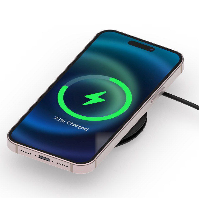 2 in 1 Portable Magnetic Charger with Stand