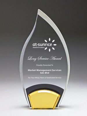 235mm Tear Drop Acrylic Award (Height)