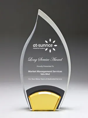 235mm Tear Drop Acrylic Award (Height)