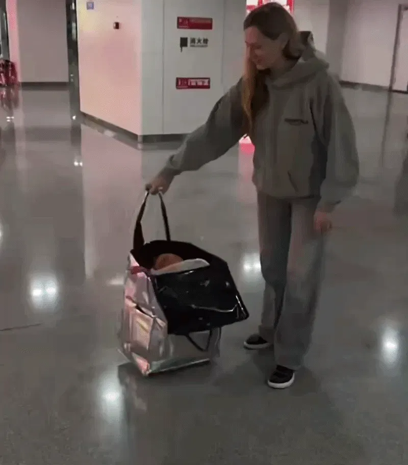Foldable Rolling Shopping Bag - Foldable Shopping Bags - Usage