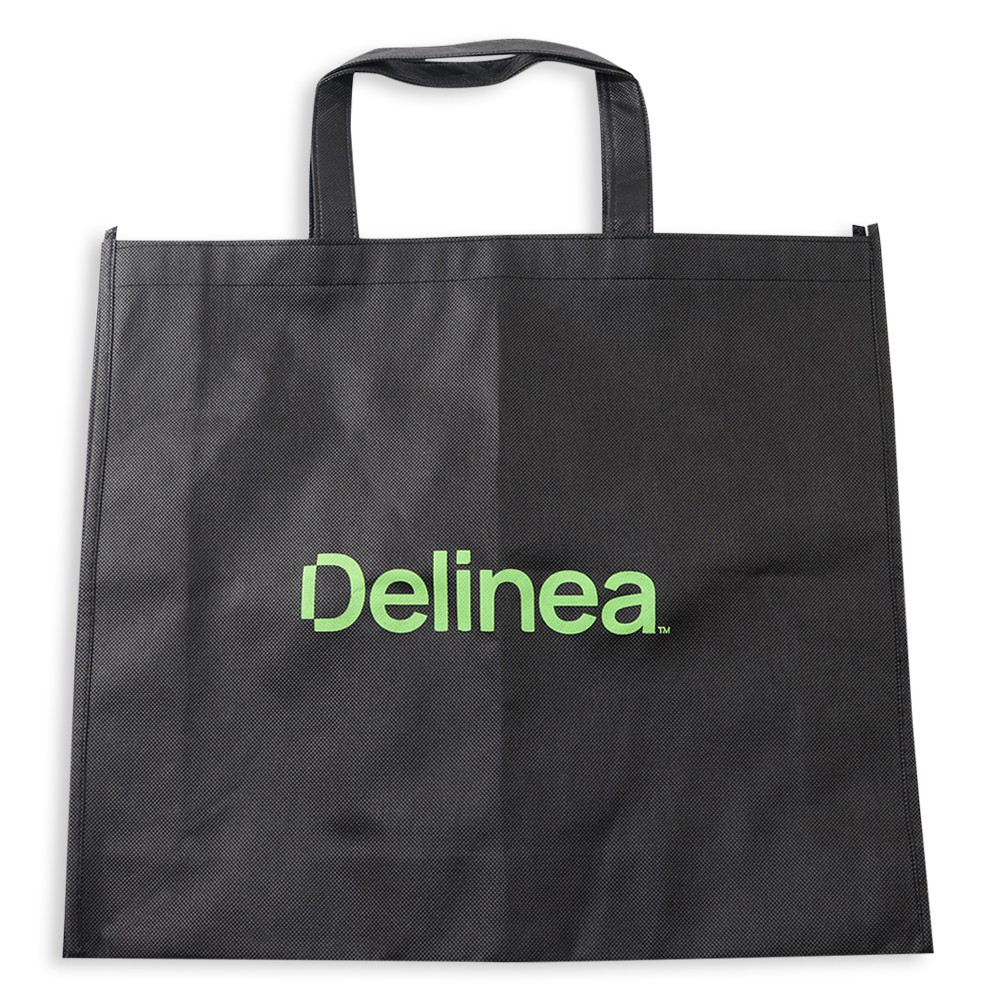 Delinea Singapore Pte Ltd (26 October)