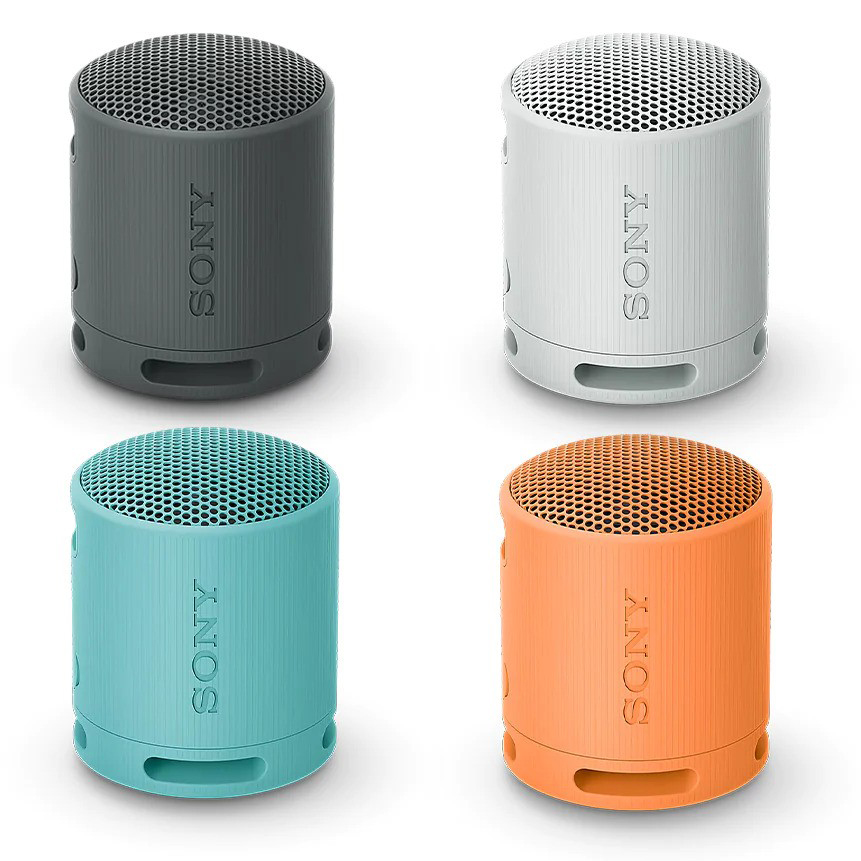 SONY  XB100 Portable Wireless Speaker 