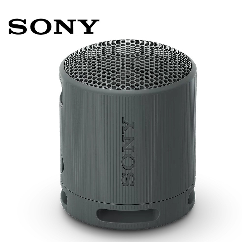 SONY  XB100 Portable Wireless Speaker 