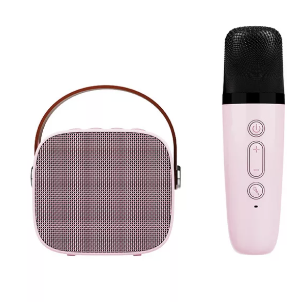 Portable Mic and Speaker