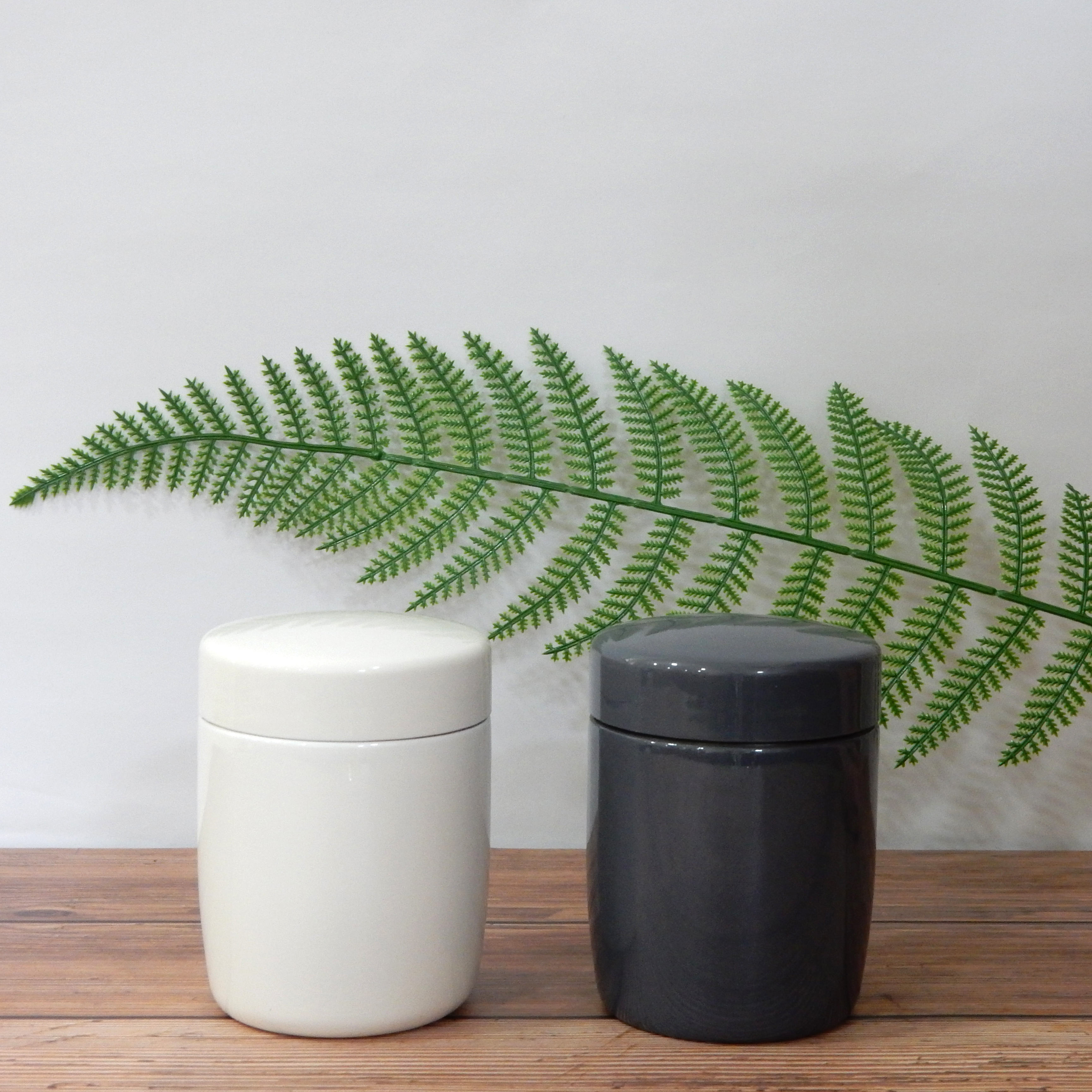 260ml Insulated Stainless Steel Food Jar 