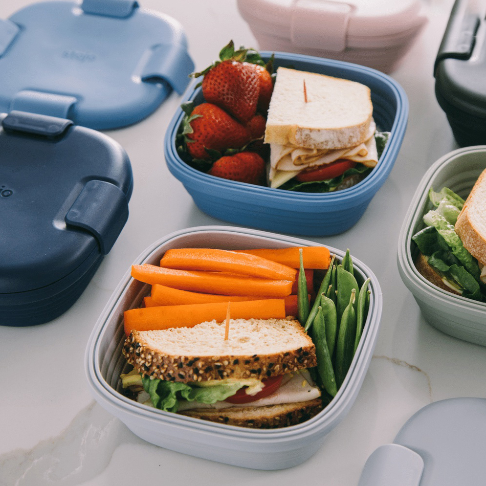 Stojo Collapsible Sandwich Box