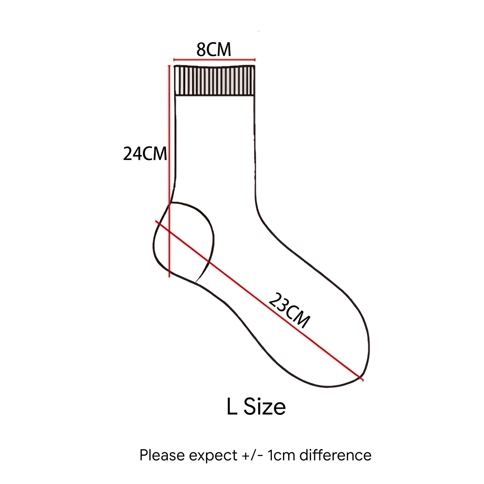 L Size 