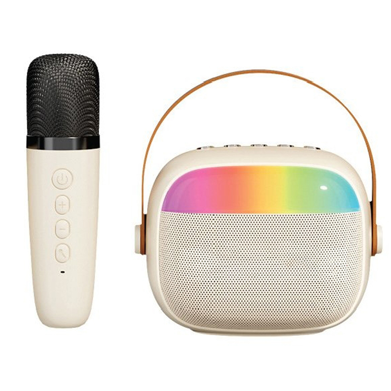 Karaoke Go – Portable Bluetooth Speaker Set