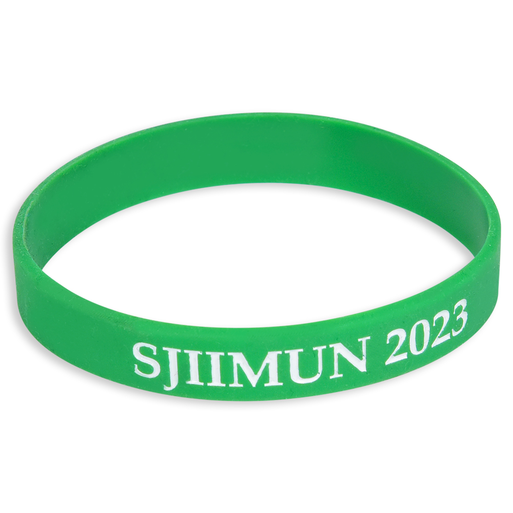 Walk-Along Student Wristbands | Silicone Wristbands for Kids