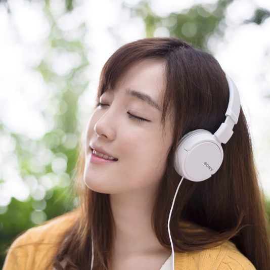 SONY  ZX110AP Wired Headphones with Mic 