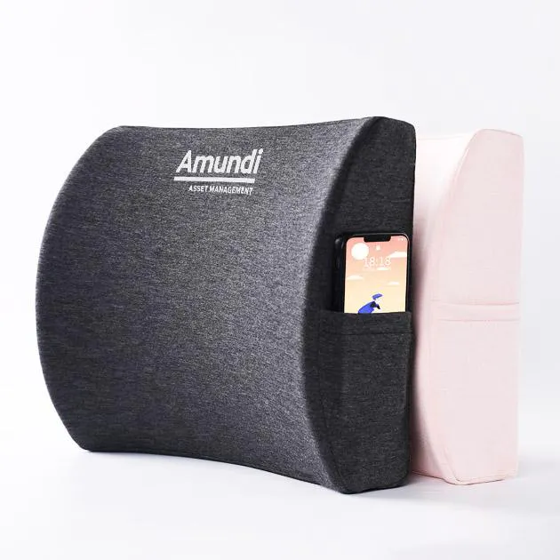 Ergo Lumbar Pillow