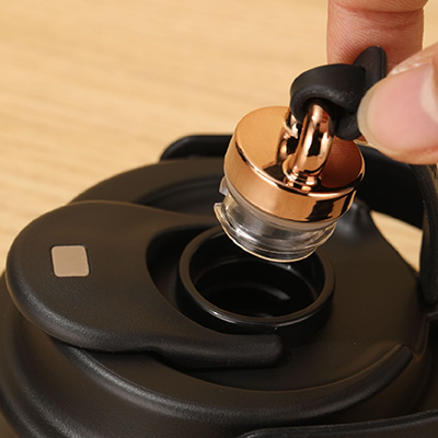 500ml GOLD Dual Lid 316 Stainless Steel Bottle with Straw Handle